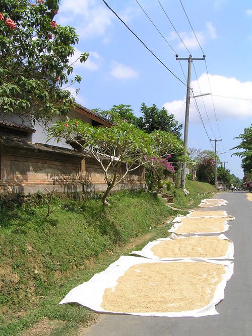 2005_indonesiatrip_325_2